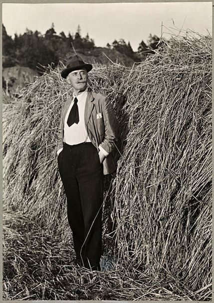hamsun_fig17