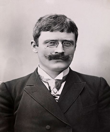hamsun_fig8